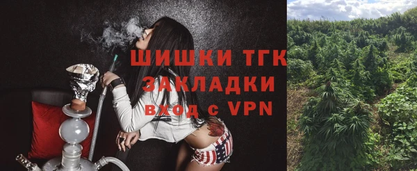 мдпв Ельня