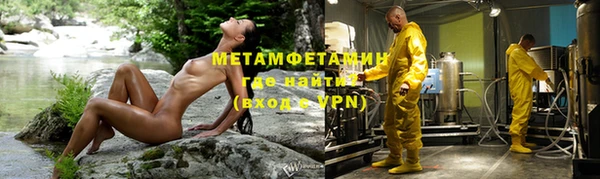 мдпв Ельня