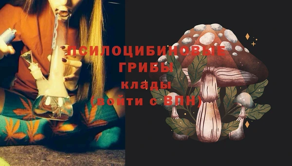 МДПВ Елизово