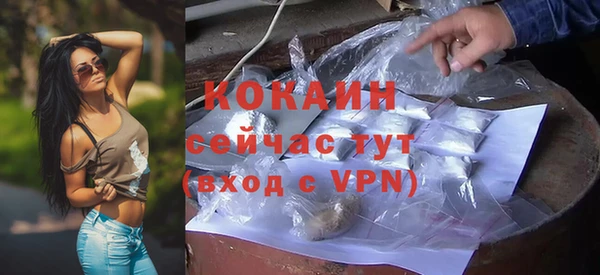 мдпв Ельня