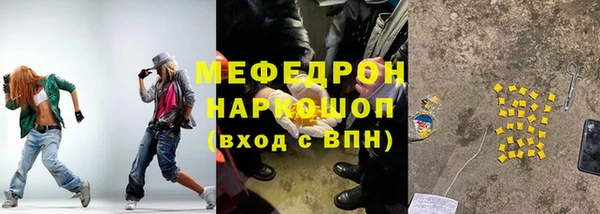 мдпв Ельня