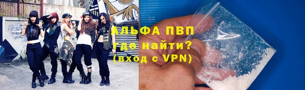 мдпв Ельня