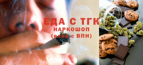 мдпв Ельня