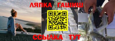 гидра Гай