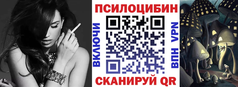 гидра ССЫЛКА  Дубна  Псилоцибиновые грибы MAGIC MUSHROOMS 