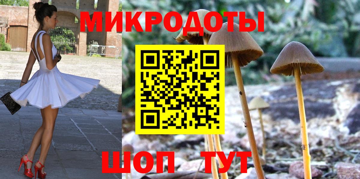 Псилоцибиновые грибы Psilocybe  цены наркотик  Вход с VPN  Дубна  Псилоцибиновые грибы мухоморы 