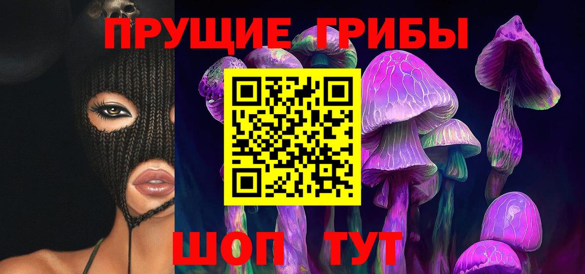 Галлюциногенные грибы Cubensis Дубна